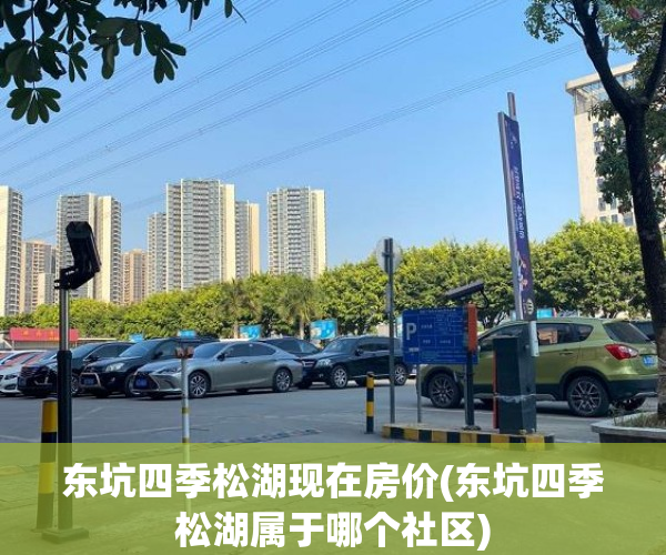 东坑四季松湖现在房价(东坑四季松湖属于哪个社区) 东坑四季松湖现在房价(东坑四季松湖属于哪个社区)