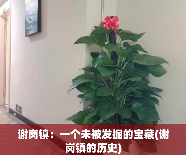 谢岗镇：一个未被发掘的宝藏(谢岗镇的历史)