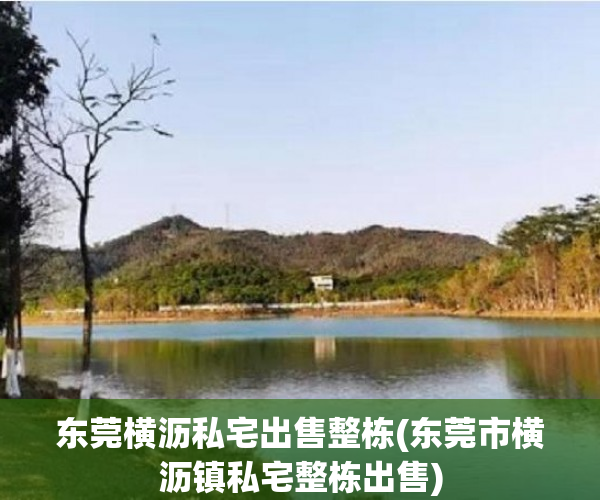 东莞横沥私宅出售整栋(东莞市横沥镇私宅整栋出售)