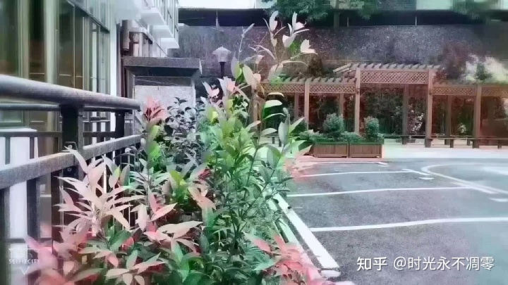 他们如果怎样预测深圳“小产权”火热,此种现像__chan_(深圳小产权暴跌)
