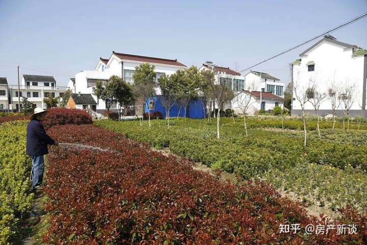 贫困地区家乡有房的特别注意了,新政实行,2021年起集体土地统..._chan_