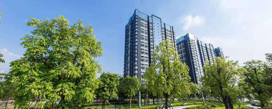 深圳小产权房二手买卖有甚么小常识_(深圳小产权房能买卖吗)