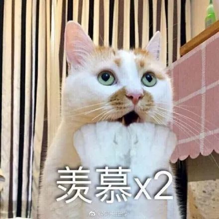 “小产权房”的诈欺拳法,可深可深了……_chan_(小产权房诈骗都有什么手段)